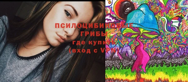 винт Баксан