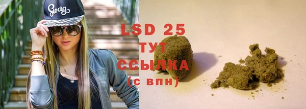 PSILOCYBIN Балабаново