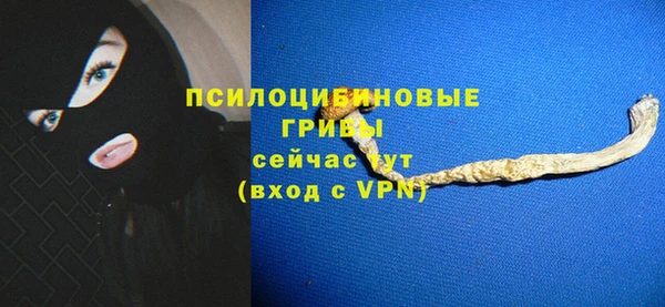 винт Баксан
