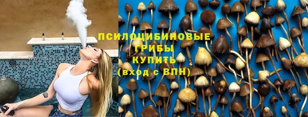 дмт Аркадак