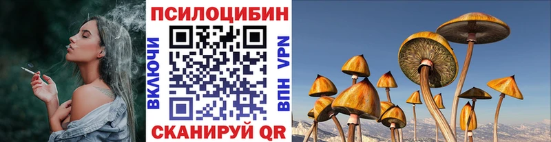 Псилоцибиновые грибы GOLDEN TEACHER  Верея 